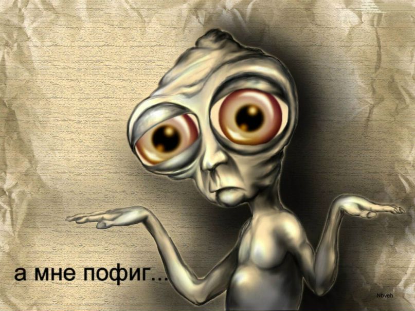 Серега Криницын фотография #15