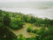 Фотография Васильковой Даши