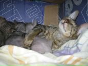 Фотография Ткачевой Елены