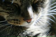 Фотография Мивриньш Инны