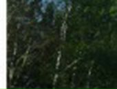 Сергій Мушка фотография #35 (источник - https://vk.com/id72071038)