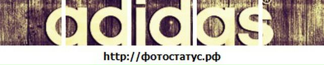 Анна Бабич фотография #20 (источник - https://vk.com/id39840351)