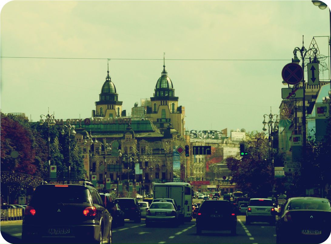 Дмитрий Додон фотография #44