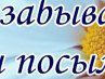 Кіра Мілашка фотография #14 (источник - https://vk.com/id85341606)