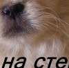 K _____________________ фотография #18 (источник - https://vk.com/id153769023)