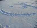 Фотография Васильевой Марины