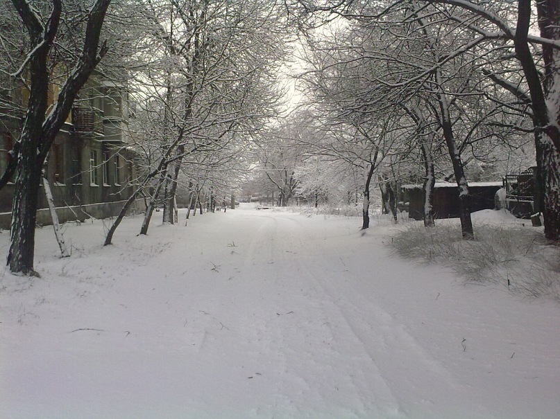 Дмитрий Козин фотография #21