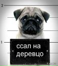 Вітя Соловій фотография #35 (источник - https://vk.com/id118998051)