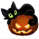 Фотография Bykova Irina