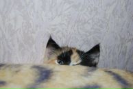 Юрій Дацько фотография #38 (источник - https://vk.com/id9641386)