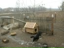 Іван Прус фотография #31 (источник - https://vk.com/id132666985)