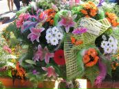 Ліля Когут фотография #7 (источник - https://vk.com/id71418373)