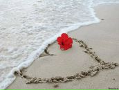 Фотография Коваленко Лины