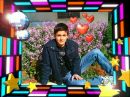 Lover Neo фотография #26 (источник - https://vk.com/id103128911)