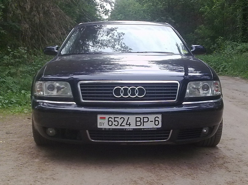 Андрей Студнев фотография #44