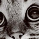 Христина Якімець-Максимяк фотография #23 (источник - https://vk.com/id21782638)