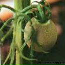 Віктор Галабурда фотография #19 (источник - https://vk.com/id66014510)