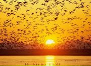 Фотография Подойницына Равиля