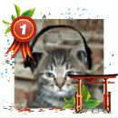 Alex Fox фотография #36 (источник - https://vk.com/id40662)