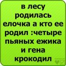 Віталіна Кальченко фотография #49 (источник - https://vk.com/id144253033)