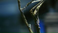 Фотография Данильченко Михаила