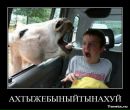 Mur Lin фотография #45 (источник - https://vk.com/id1655187)