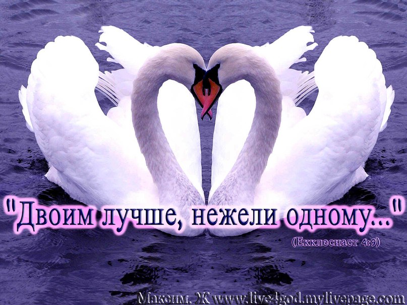 Дмитрий Апаев фотография #4