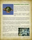 Κсения Κотова фотография #26 (источник - https://vk.com/id165099211)