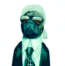 Фотография Тарасенко Дениса