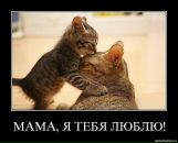 Фотография Даниловой Юлии
