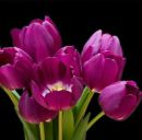 Олег Підгірний фотография #20 (источник - https://vk.com/id154681023)