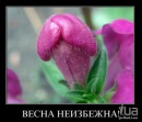 Сергій Мележик фотография #28 (источник - https://vk.com/id6452079)