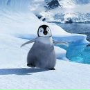 Фотография Пузеевой Анны