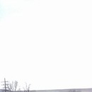 Ігор Бойко фотография #44 (источник - https://vk.com/id37889787)