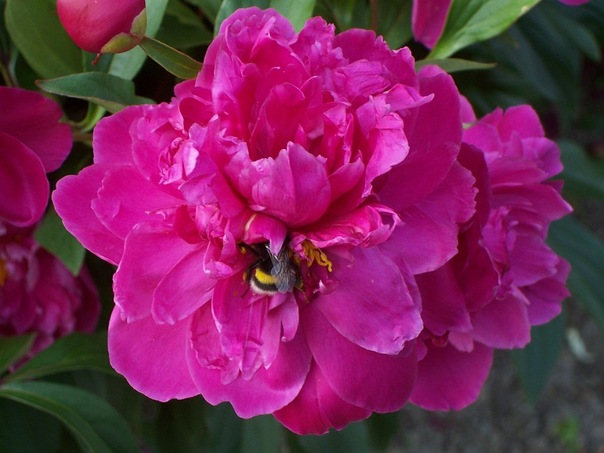 Olga Oconnell фото №24
