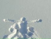 Фотография Радаева Алексея