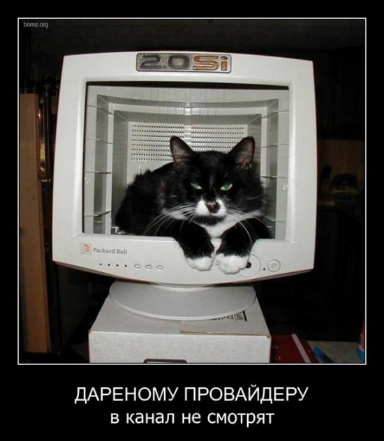 Денис Суханов фотография #11