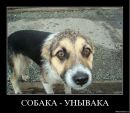 Віталік Вольт фотография #50 (источник - https://vk.com/id2228781)