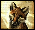 Фотография Долгова Дениса