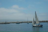 Филипп Келейнов фотография #36 (источник - https://vk.com/id68366)