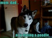 Оля Ткаченко фотография #33 (источник - https://vk.com/id1748957)