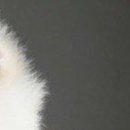 Надя Бабійчук фотография #15 (источник - https://vk.com/id147804112)