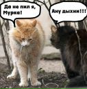 Ірина Осадча фотография #32 (источник - https://vk.com/id131600687)