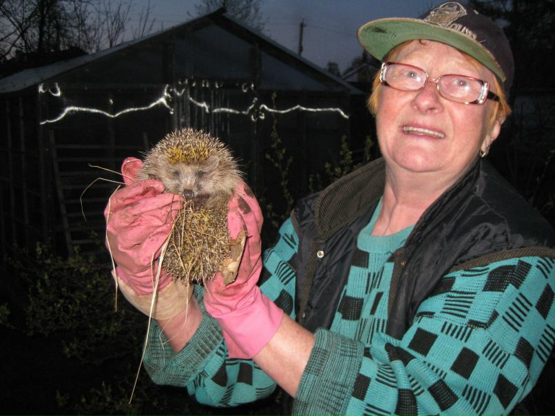 Марина Калиш фотография #1