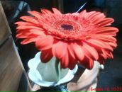 Фотография Мочаловой Ирины