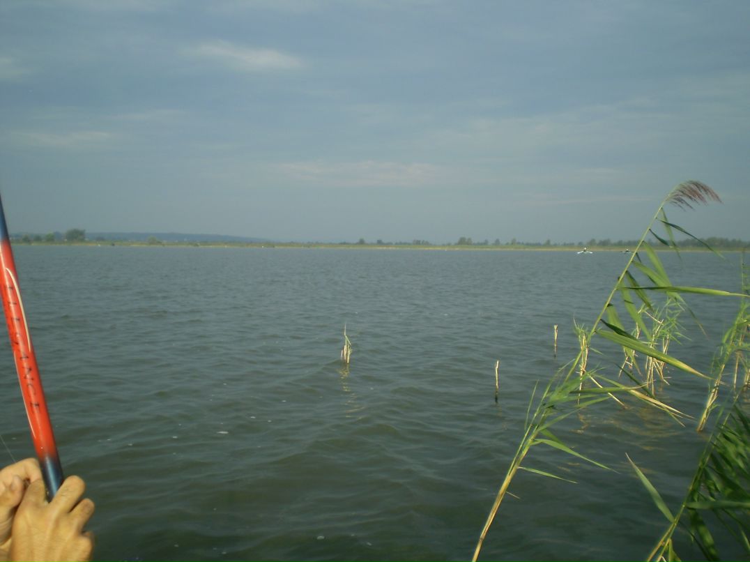 Роман Мацех фотография #28