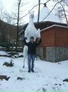 Ігор Костак фотография #32 (источник - https://vk.com/id65285935)