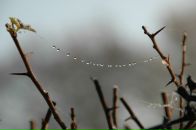 Анна Смолина фотография #33 (источник - https://vk.com/id615881)