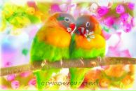 Фотография Боуш Инны