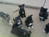 Фотография Теслова Евгения